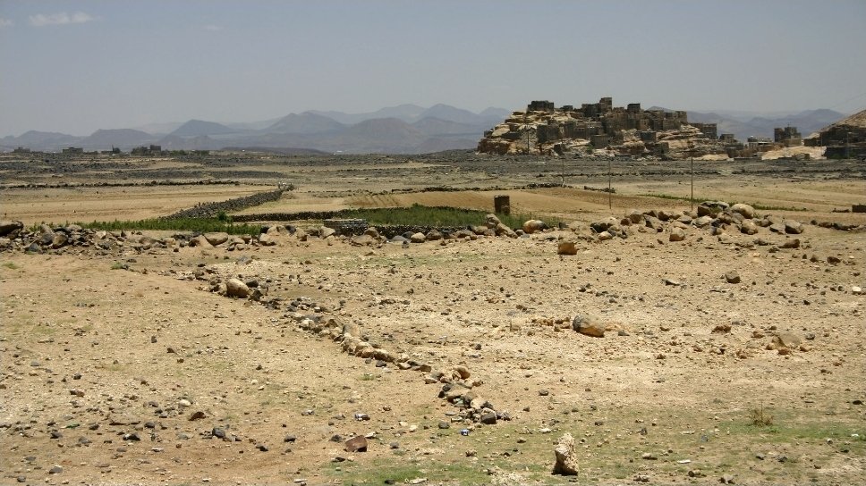 Building a Sustainable Future: Biodiversity and Climate Resilience in Yemen